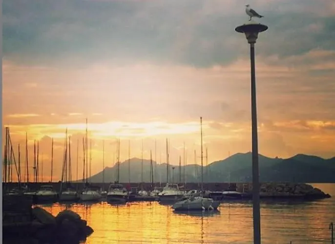 Bright - Cannes, La Croisette